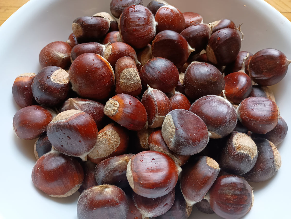 Chestnuts - Chinese - 2026 - Pre-order - Free Shipping