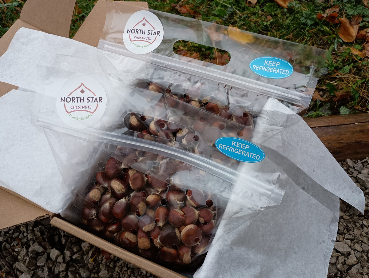 Chestnuts - Chinese - 2026 - Pre-order - Free Shipping