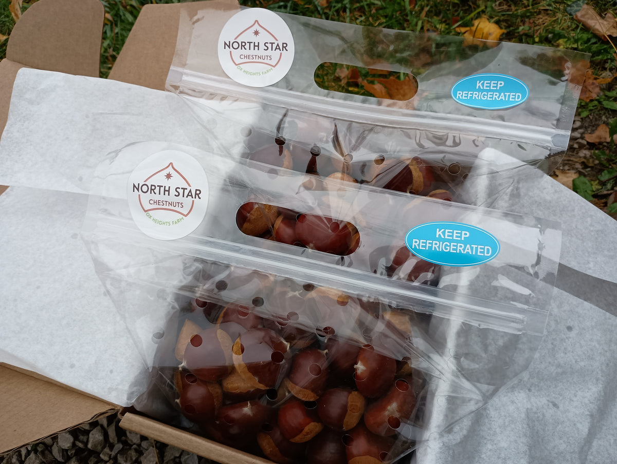 Chestnuts - European - 2026 - Pre-order - Free Shipping